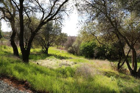 6611 Mother Lode Dr, Placerville, CA 95667 photo 15