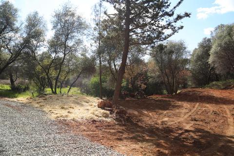 6611 Mother Lode Dr, Placerville, CA 95667 photo 18