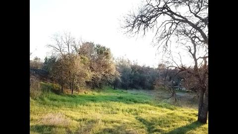 6611 Mother Lode Dr, Placerville, CA 95667 photo 6