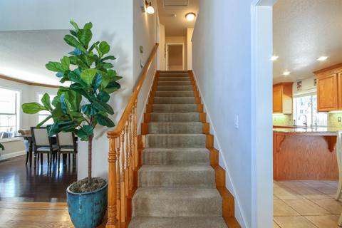 60 Tall Pines Ct, Applegate, CA 95703 photo 27
