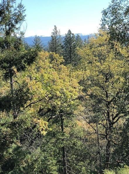 60 Tall Pines Ct, Applegate, CA 95703 photo 33