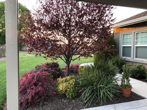 3507 Mcgee Rd, Ceres, CA 95307 photo 29