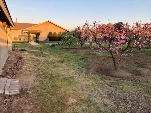 3507 Mcgee Rd, Ceres, CA 95307 photo 46