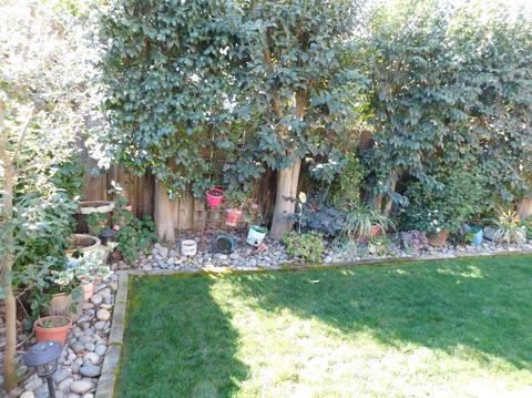 3824 Dillingham Ave, Modesto, CA 95357 photo 76