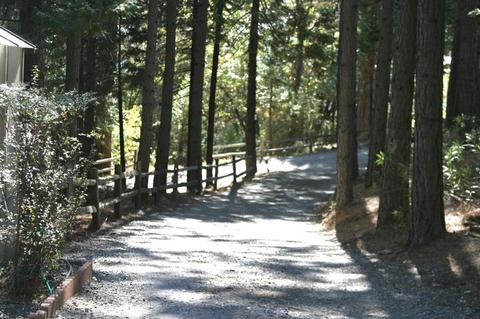 12242 E Brookview Dr, Grass Valley, CA 95945 photo 30