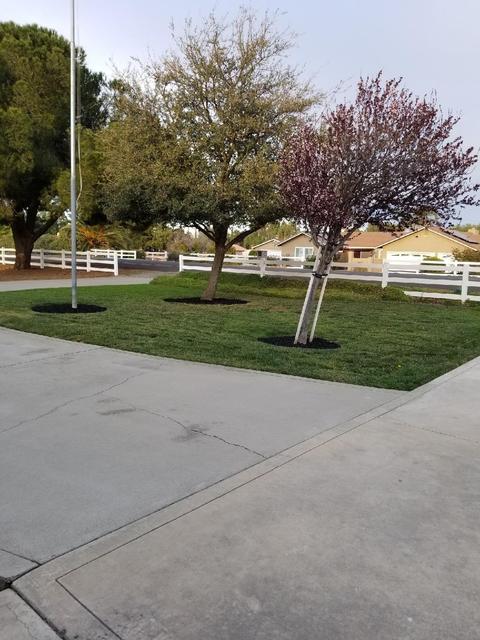 23405 Currier Dr, Tracy, CA 95304 photo 18