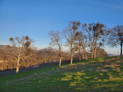 1723 Sawmill Rd, Copperopolis, CA 95228 photo 18