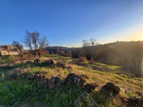 1723 Sawmill Rd, Copperopolis, CA 95228 photo 15