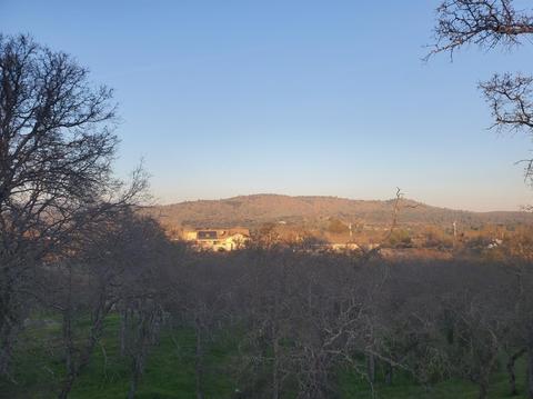 1723 Sawmill Rd, Copperopolis, CA 95228 photo 19