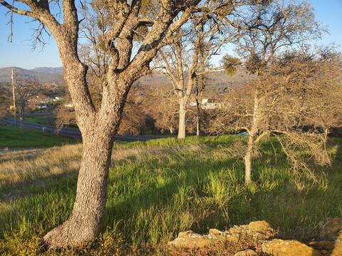 1723 Sawmill Rd, Copperopolis, CA 95228 photo 13