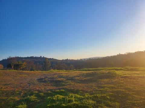 1723 Sawmill Rd, Copperopolis, CA 95228 photo 5