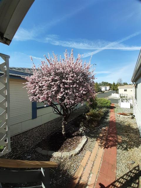 20 Rollingwood Dr #74, Jackson, CA 95642 photo 31