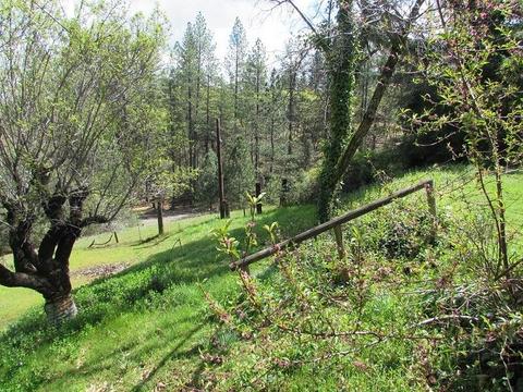 17465 Applegate Rd, Applegate, CA 95703 photo 25