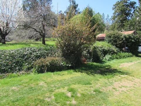 17465 Applegate Rd, Applegate, CA 95703 photo 28