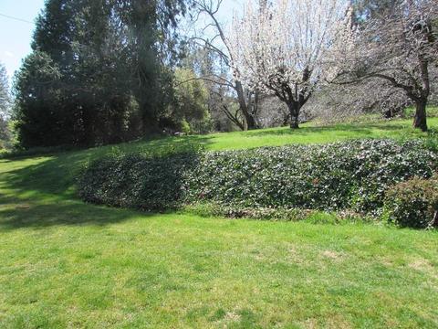 17465 Applegate Rd, Applegate, CA 95703 photo 27