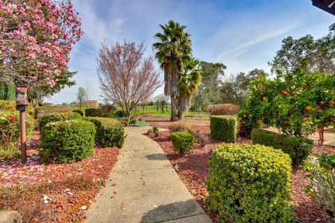 9695 Dillard Rd, Wilton, CA 95693 photo 85