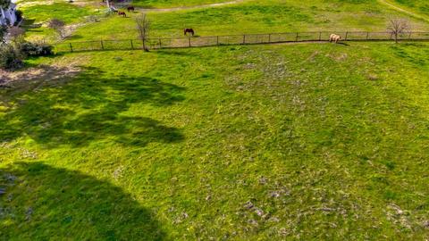 9695 Dillard Rd, Wilton, CA 95693 photo 97