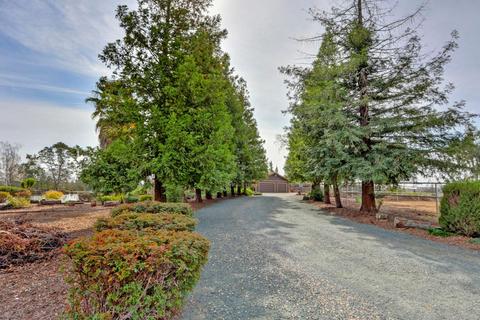 9695 Dillard Rd, Wilton, CA 95693 photo 86