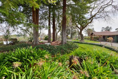 9695 Dillard Rd, Wilton, CA 95693 photo 67
