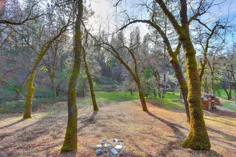 21540 Digger Pine Ln, Colfax, CA 95713 photo 69