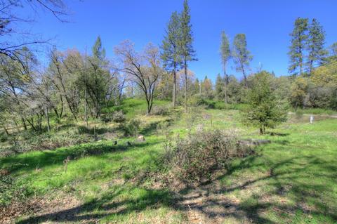 1100 Hidden Meadow Way, Applegate, CA 95703 photo 4