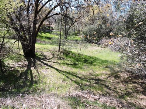 5917 Bucks Bar Rd, Placerville, CA 95667 photo 29