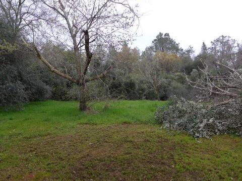 2605 Frontier Rd, Auburn, CA 95603 photo 26
