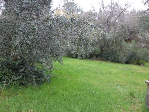 2605 Frontier Rd, Auburn, CA 95603 photo 24