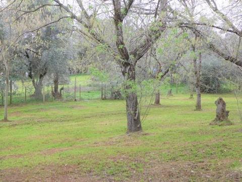 2605 Frontier Rd, Auburn, CA 95603 photo 18