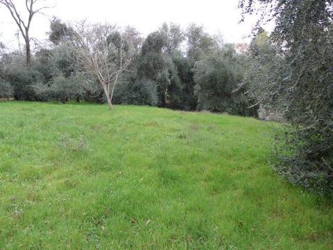 2605 Frontier Rd, Auburn, CA 95603 photo 25