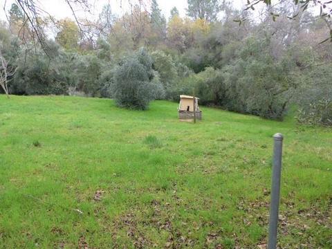 2605 Frontier Rd, Auburn, CA 95603 photo 19