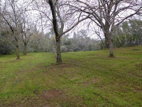 2605 Frontier Rd, Auburn, CA 95603 photo 29