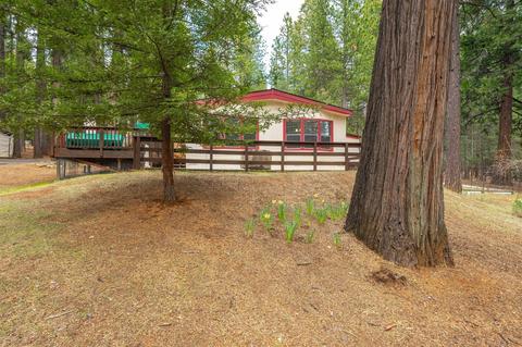 25662 Blaze Ct, Volcano, CA 95689 photo 39