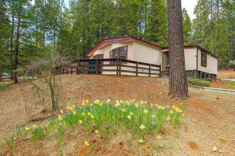 25662 Blaze Ct, Volcano, CA 95689 photo 2