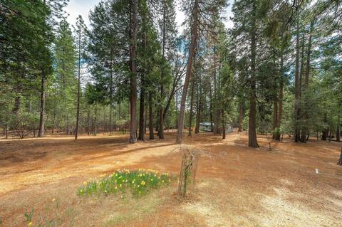 25662 Blaze Ct, Volcano, CA 95689 photo 48