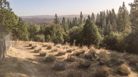 3960 Leisure Ln, Placerville, CA 95667 photo 22