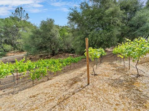 5415 Clover Leaf Ct, Placerville, CA 95667 photo 53