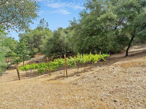 5415 Clover Leaf Ct, Placerville, CA 95667 photo 52