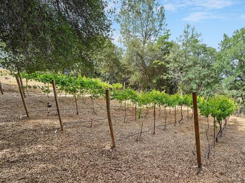 5415 Clover Leaf Ct, Placerville, CA 95667 photo 23