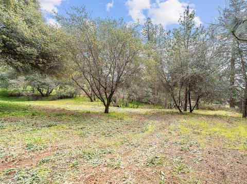 2509 Prado Vista Rd, Placerville, CA 95667 photo 17