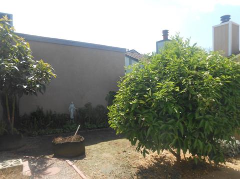 3924 E Orangeburg Ave, Modesto, CA 95355 photo 15