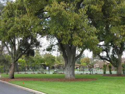 2467 Macarthur Pkwy, Lodi, CA 95242 photo 35
