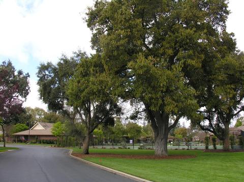 2467 Macarthur Pkwy, Lodi, CA 95242 photo 36