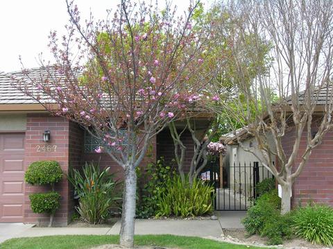 2467 Macarthur Pkwy, Lodi, CA 95242 photo 4