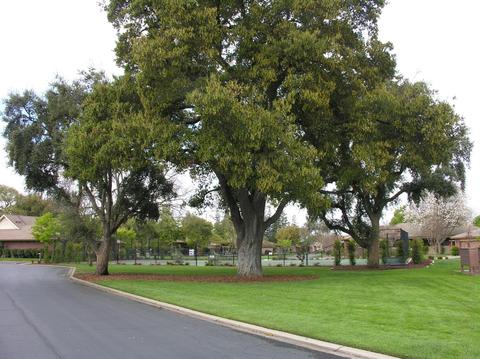 2467 Macarthur Pkwy, Lodi, CA 95242 photo 29