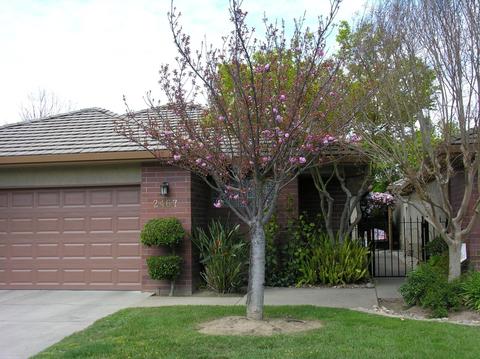2467 Macarthur Pkwy, Lodi, CA 95242 photo 3