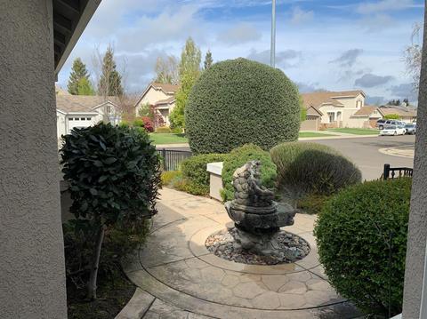 18 Elderica Way, Lodi, CA 95242 photo 41
