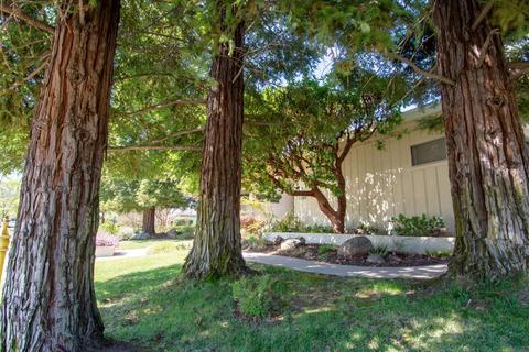 4349 Jan Dr, Carmichael, CA 95608 photo 5