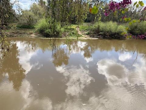 2812 Paradise Rd, Modesto, CA 95358 photo 34