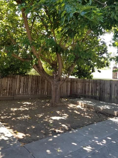 4253 Hussey Dr, Carmichael, CA 95608 photo 16